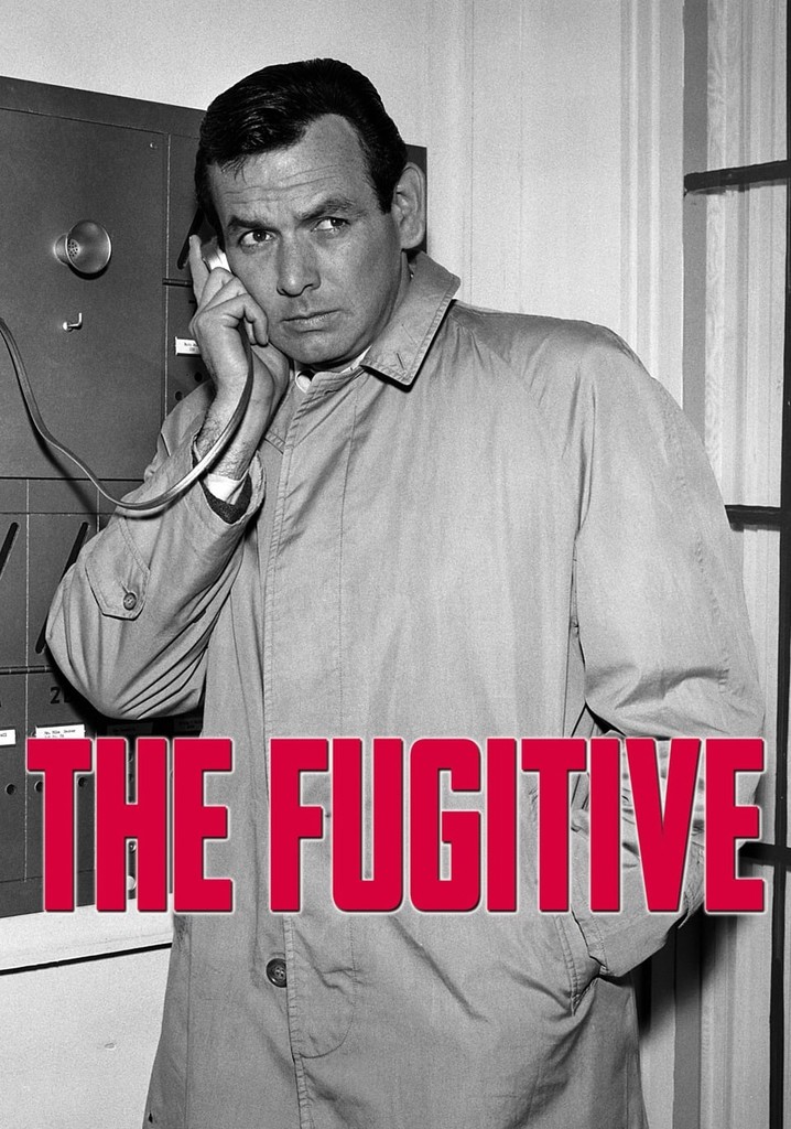 The Fugitive poster