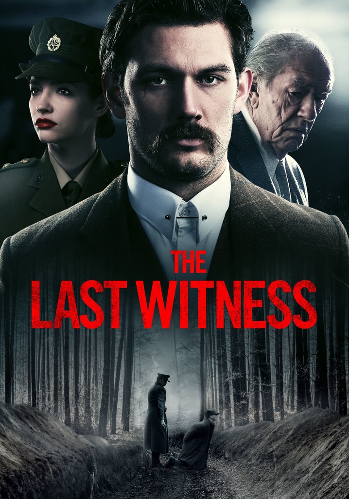 The Last Witness poster