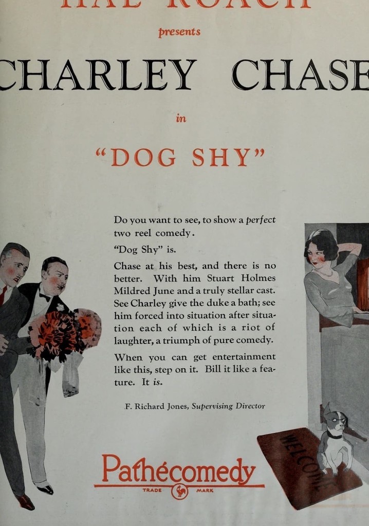 Dog Shy poster