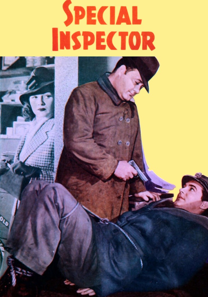 Special Inspector poster