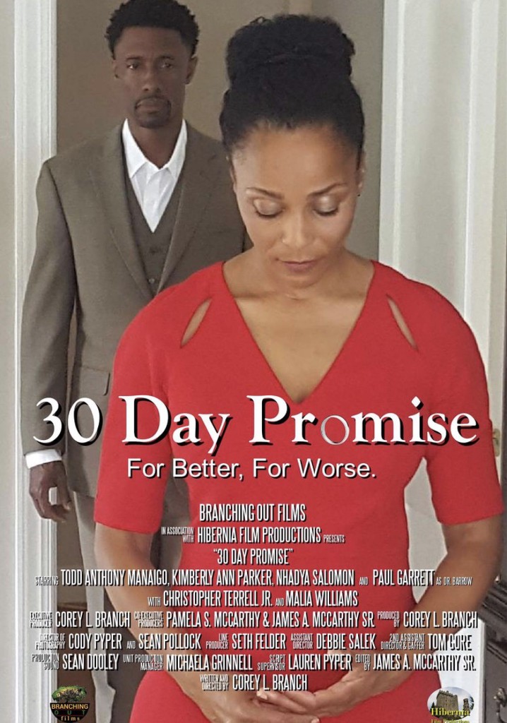 30 Day Promise poster