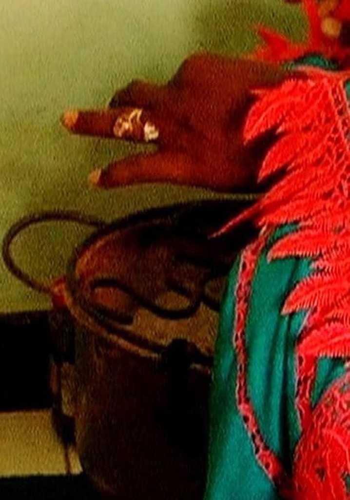 Les Sénégalaises et la Sénégauloise poster