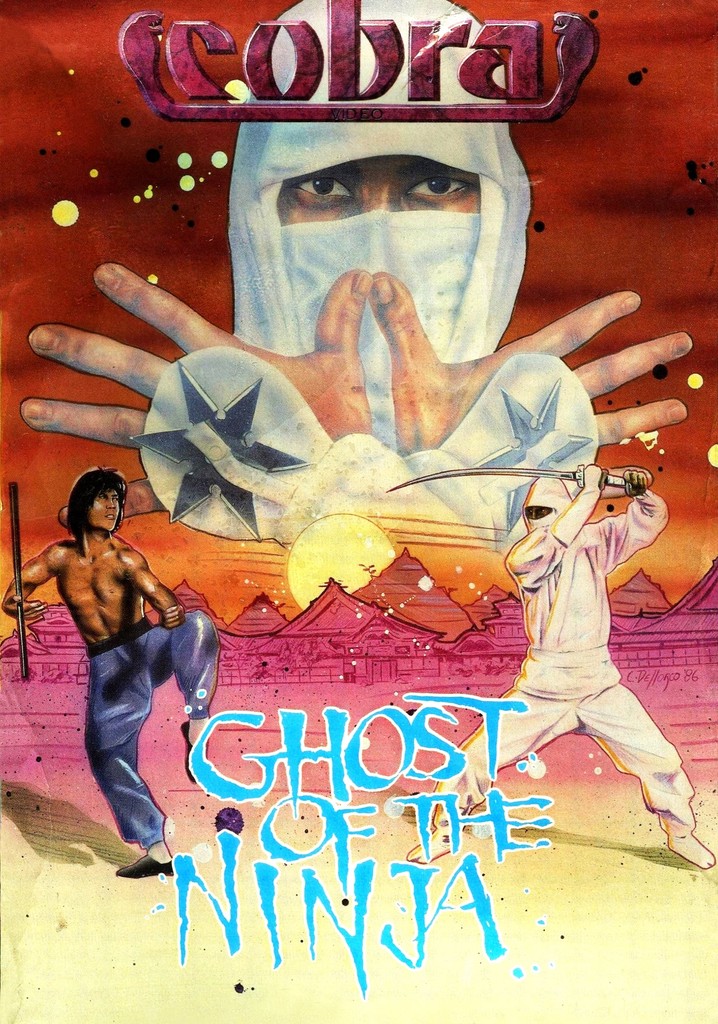 Shadow Ninja poster