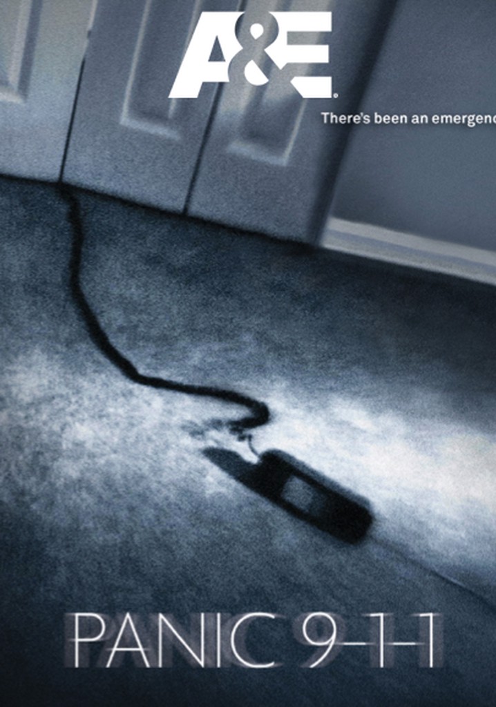 Panic 9-1-1 poster