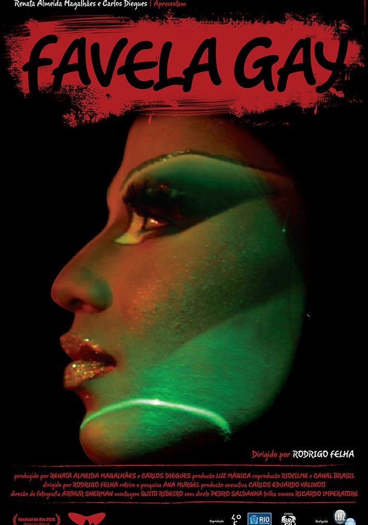 Favela Gay poster
