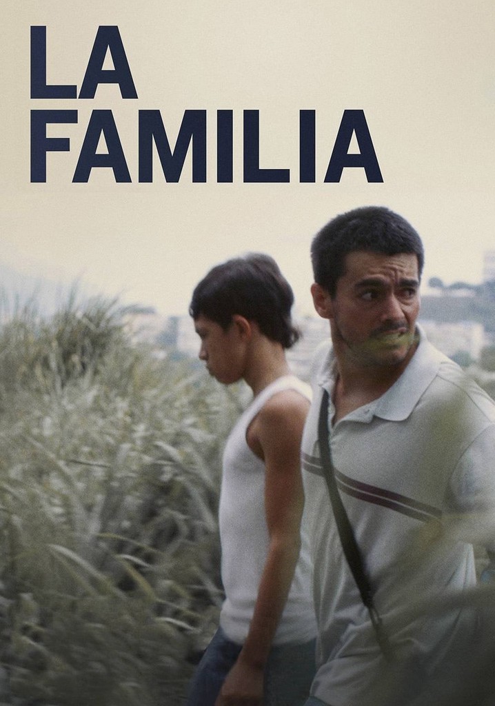 The Family poster