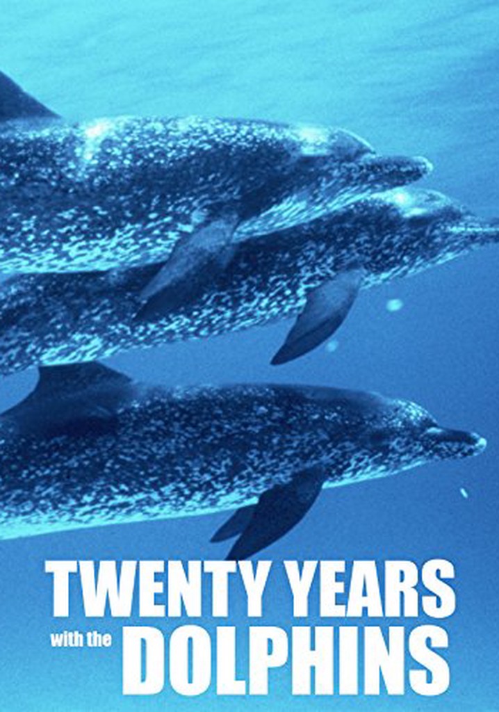 20 Years with the Dolphins poster