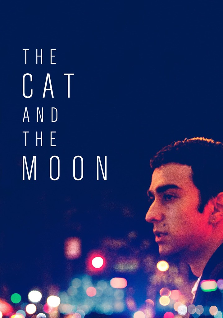 The Cat and the Moon poster