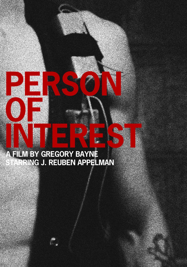 Person of Interest poster