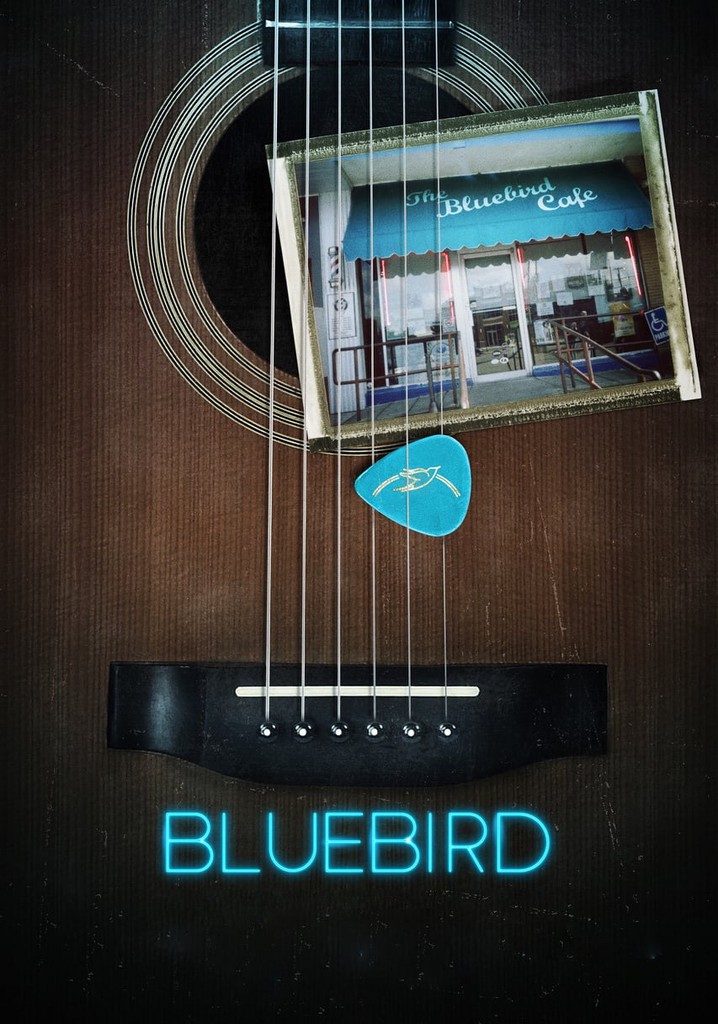 Bluebird poster