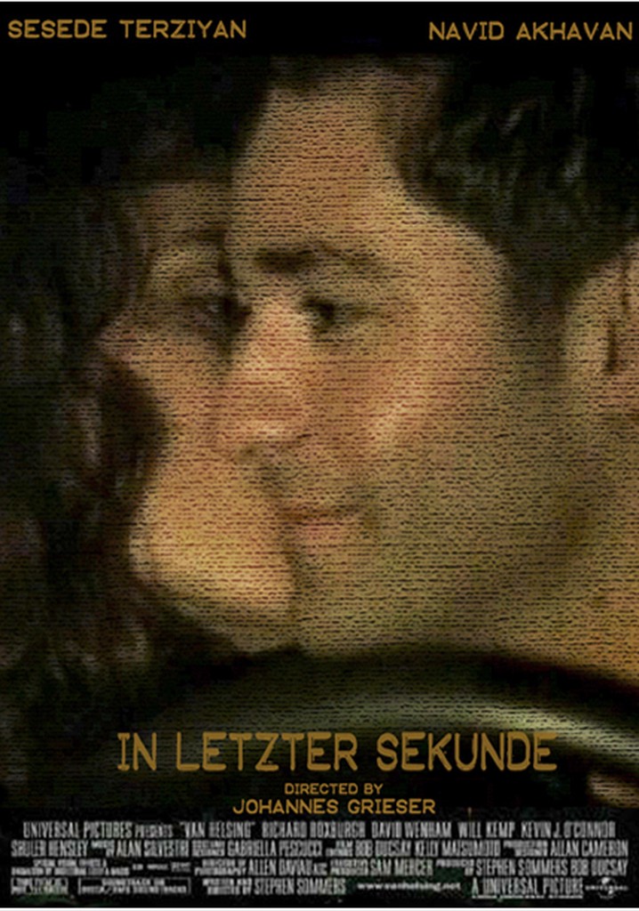 In letzter Sekunde poster