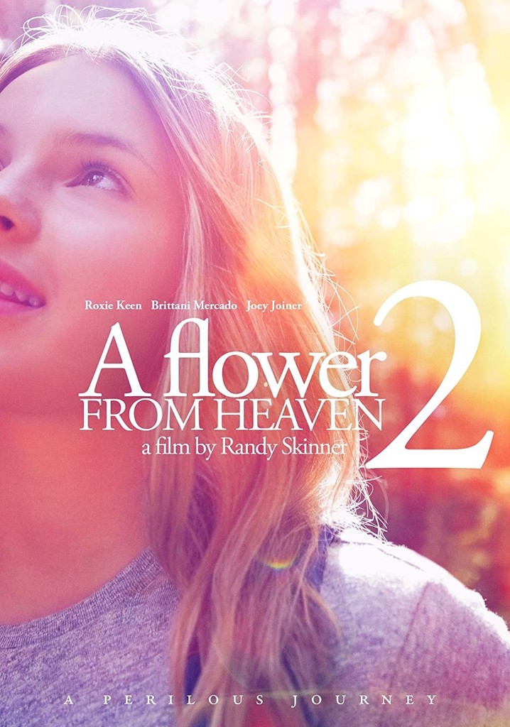 A Flower from Heaven 2: A Perilous Journey poster
