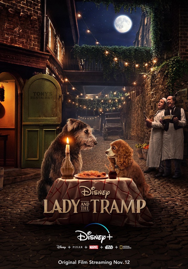 Lady and the Tramp poster