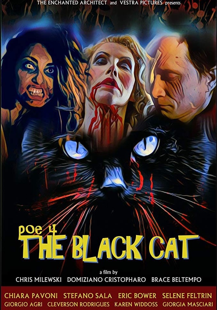 POE 4: The Black Cat poster