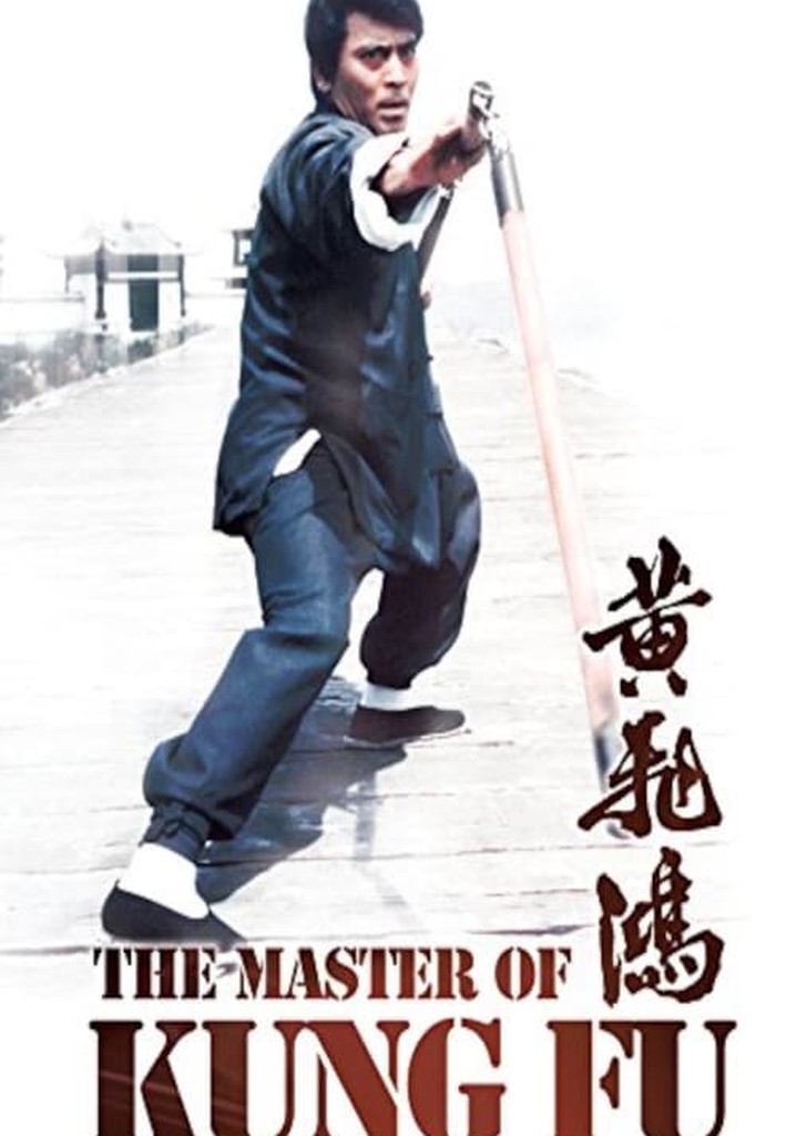 The Master of Kung Fu poster