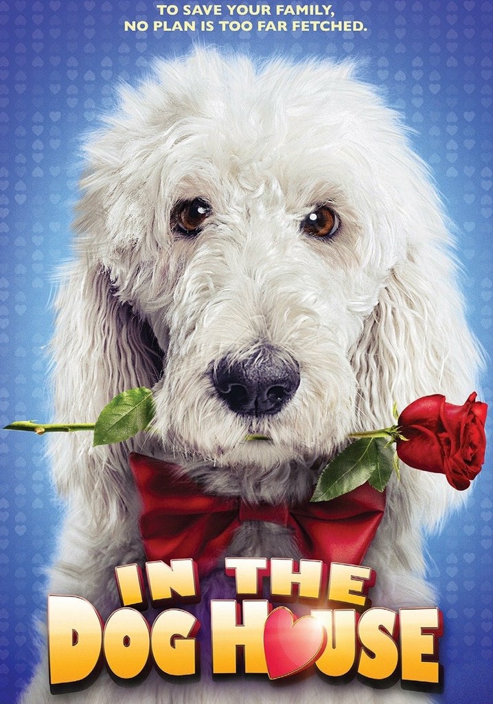 In the Dog House poster