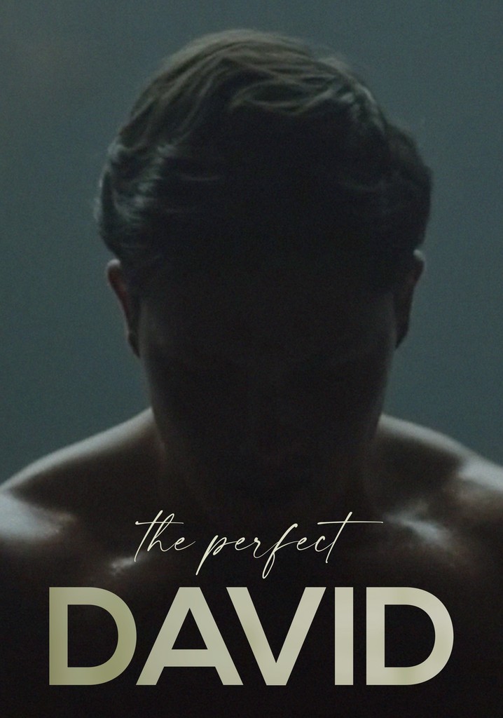 The Perfect David poster