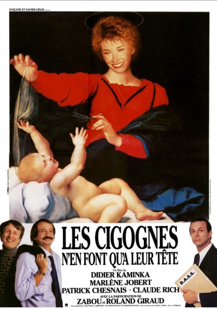 Les cigognes n'en font qu'à leur tête poster
