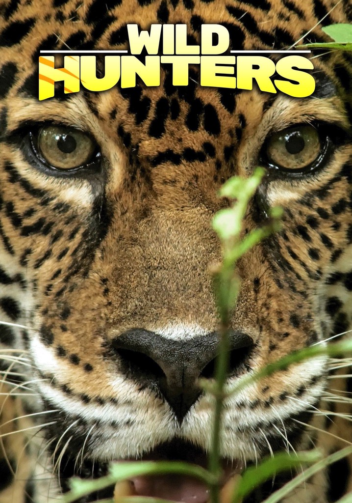 Wild Hunters poster