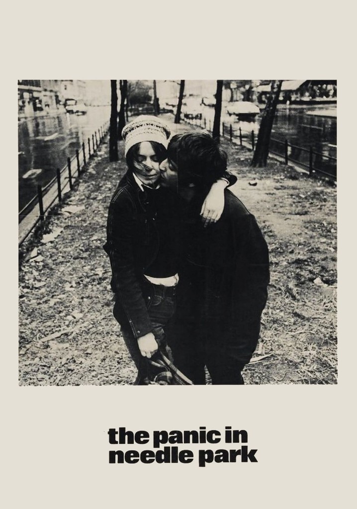 The Panic in Needle Park poster