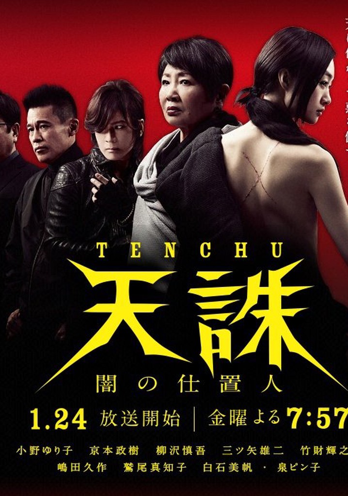 Tenchu: Ninja of Justice poster