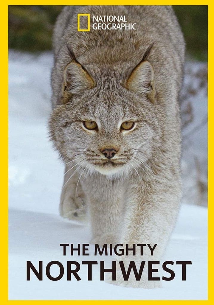 The Mighty Northwest poster