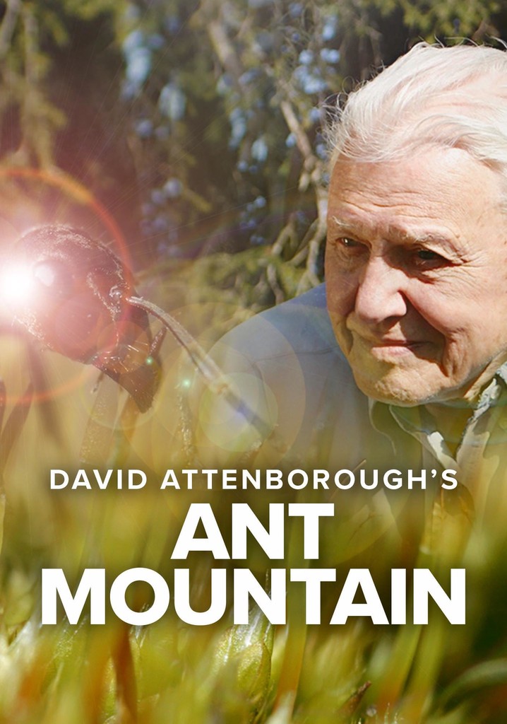 David Attenborough's Ant Mountain poster