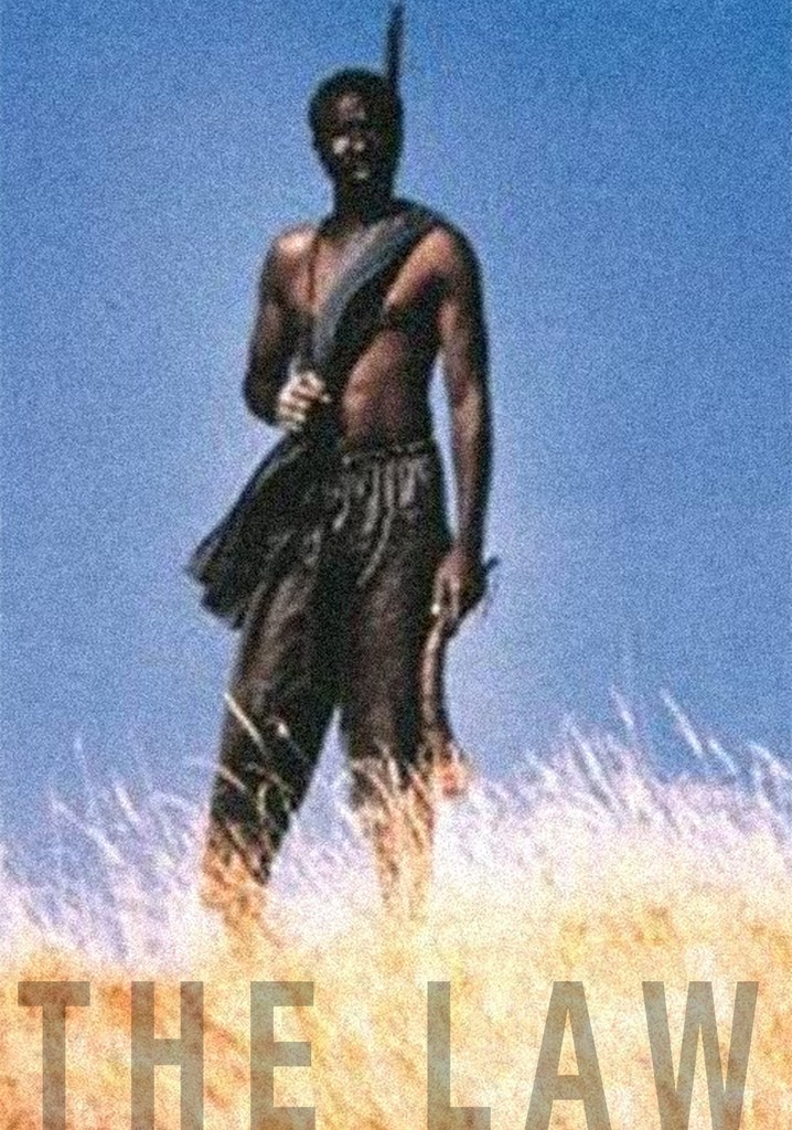 The Law poster