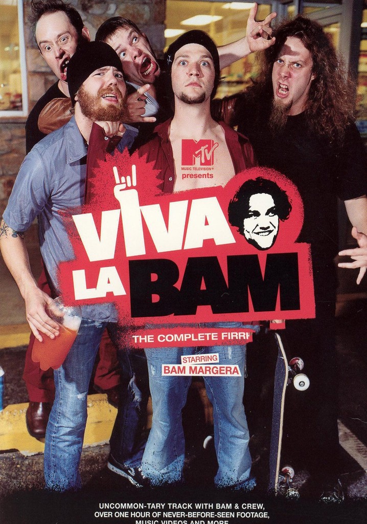 Viva La Bam poster