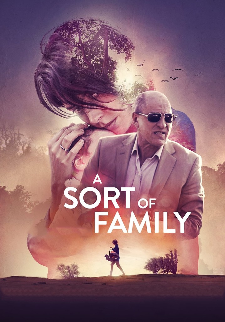 A Sort of Family poster