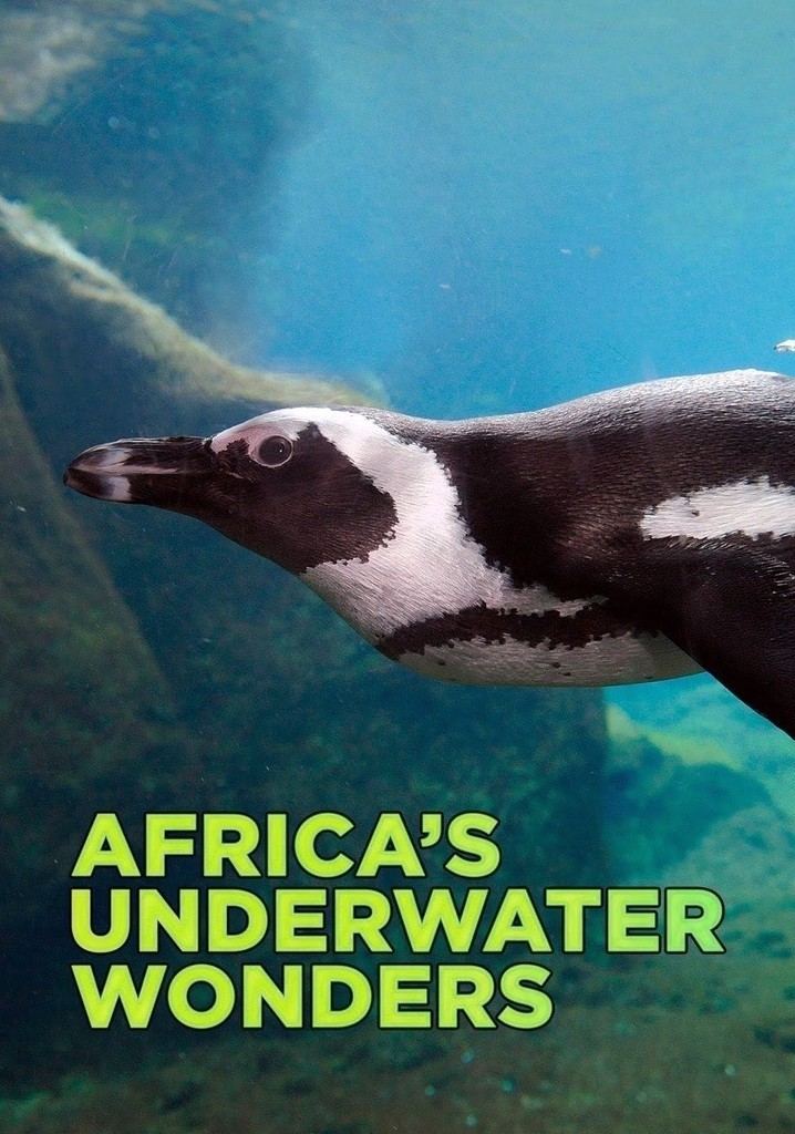 Africa's Underwater Wonders poster