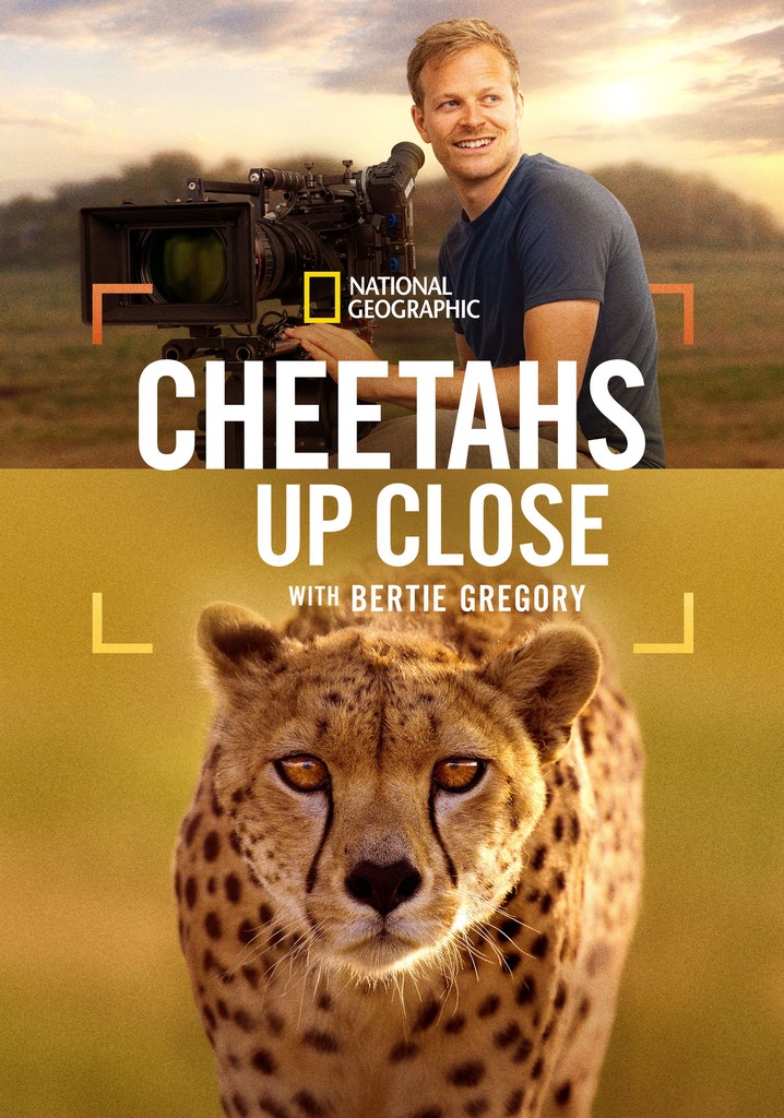 Cheetahs Up Close with Bertie Gregory poster