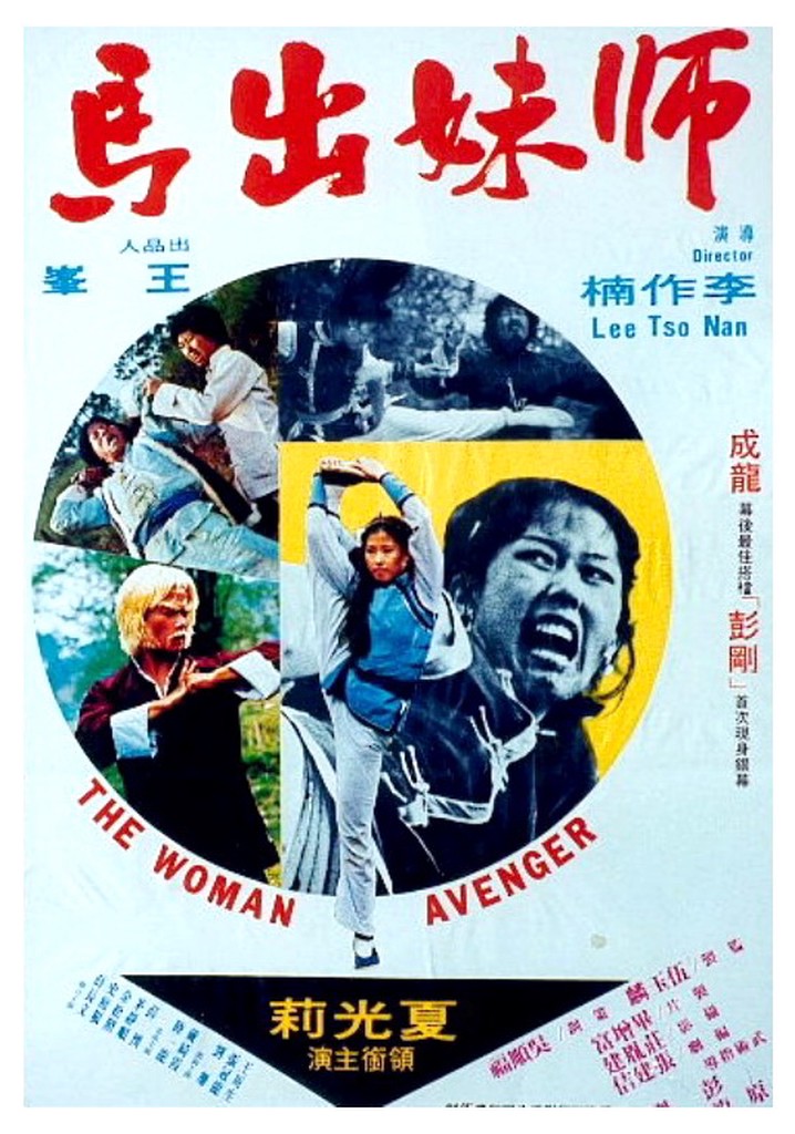 Woman Avenger poster