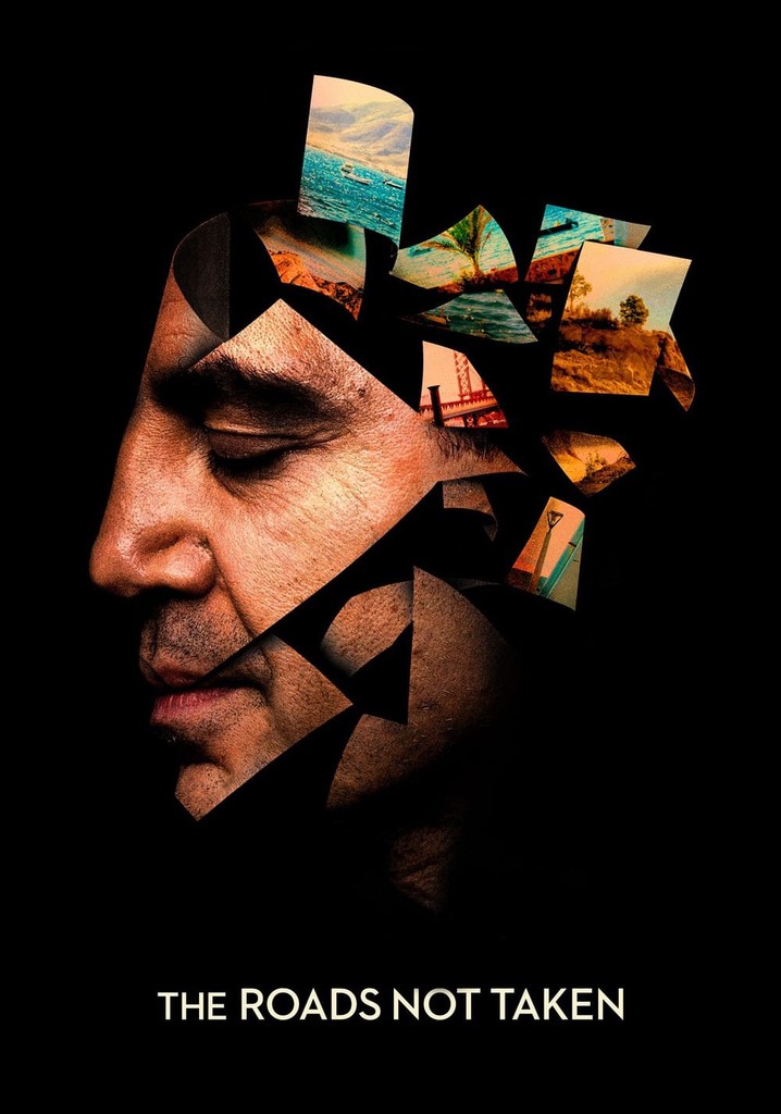The Roads Not Taken poster