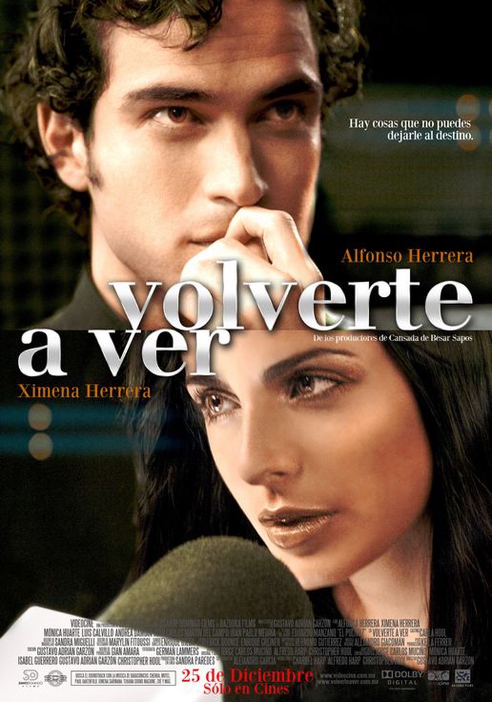 Volverte a ver poster