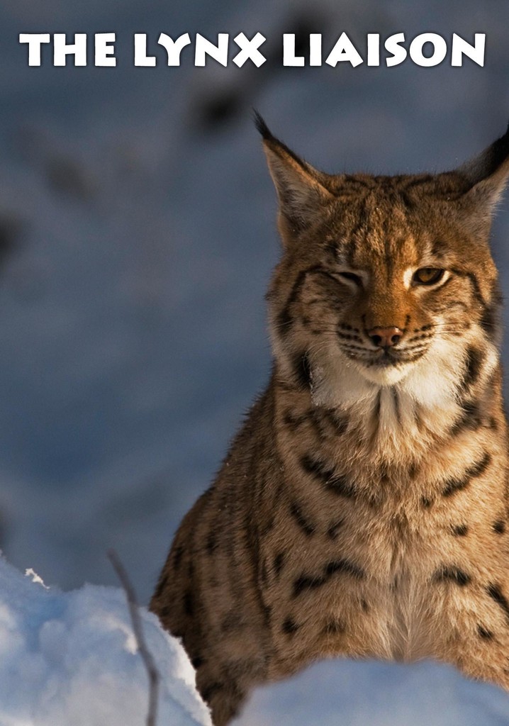 The Lynx Liaison poster