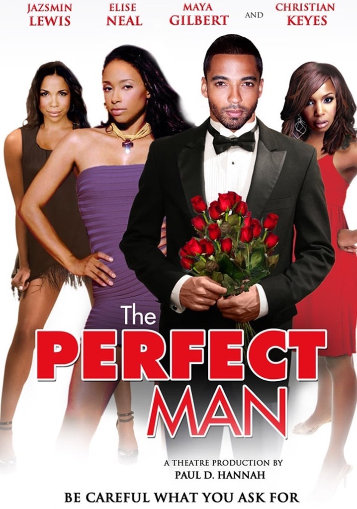 The Perfect Man poster