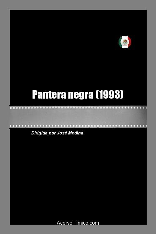 Pantera negra poster