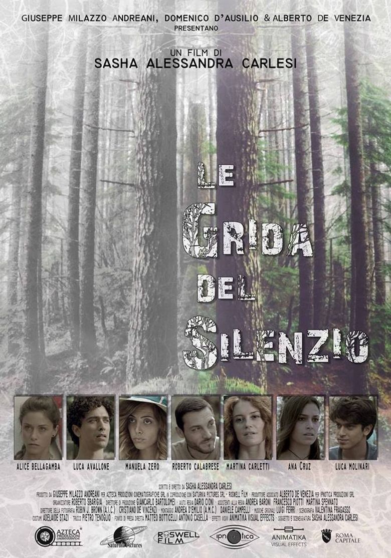 Le grida del silenzio poster