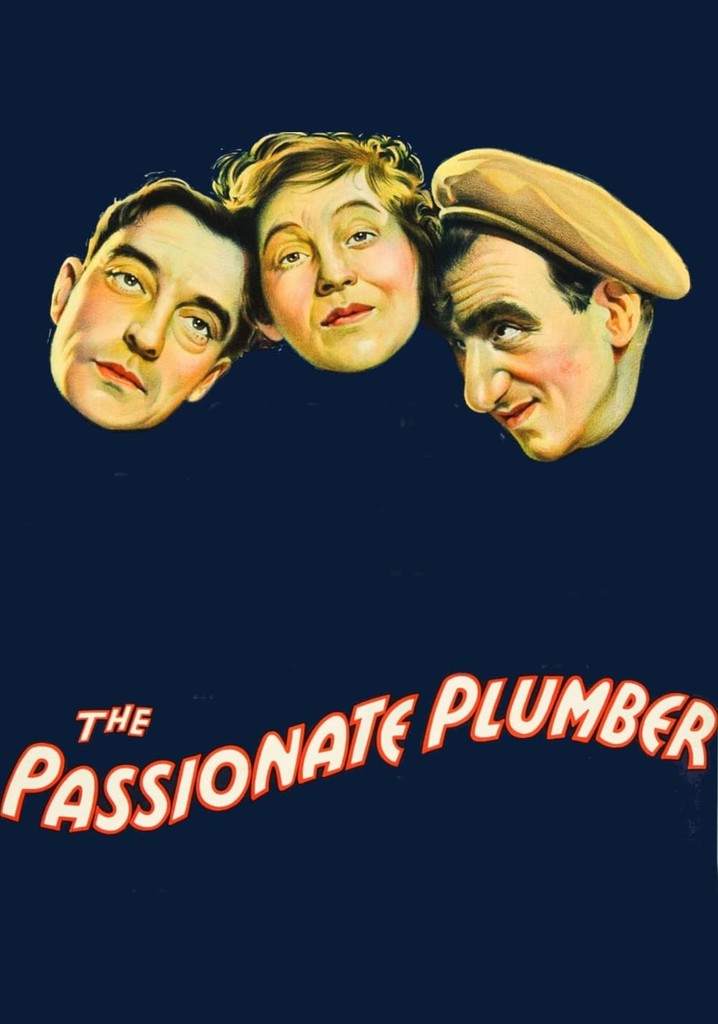 The Passionate Plumber poster