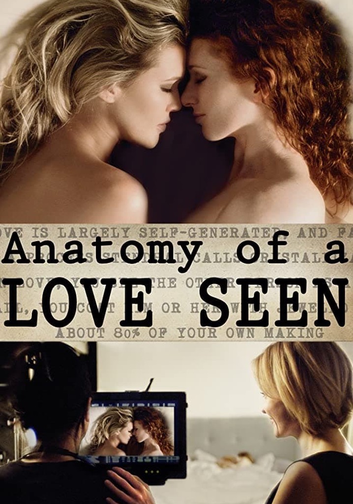 Anatomy of a Love Seen poster