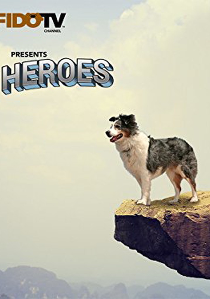 Pet Heroes poster