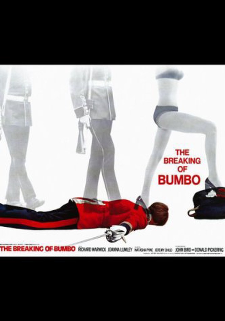 The Breaking of Bumbo poster