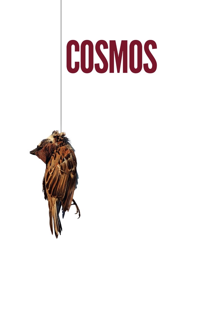 Cosmos poster
