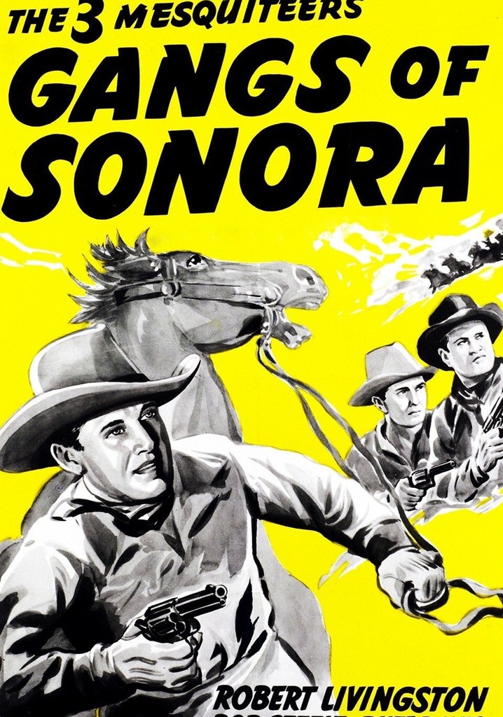 Gangs of Sonora poster