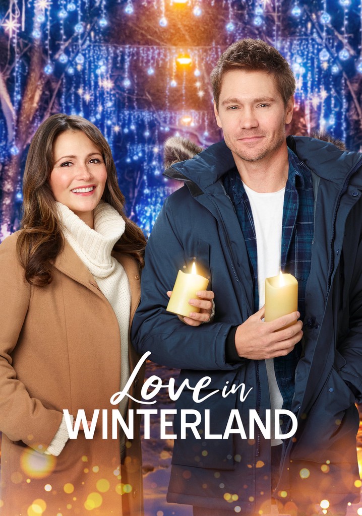 Love in Winterland poster