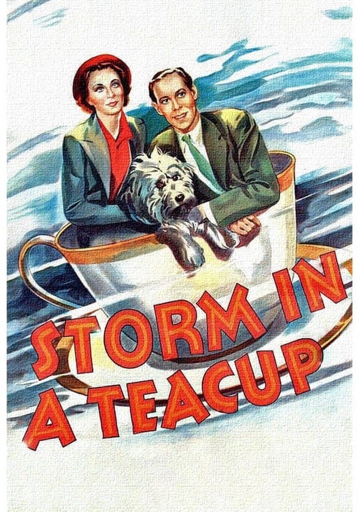 Storm in a Teacup poster