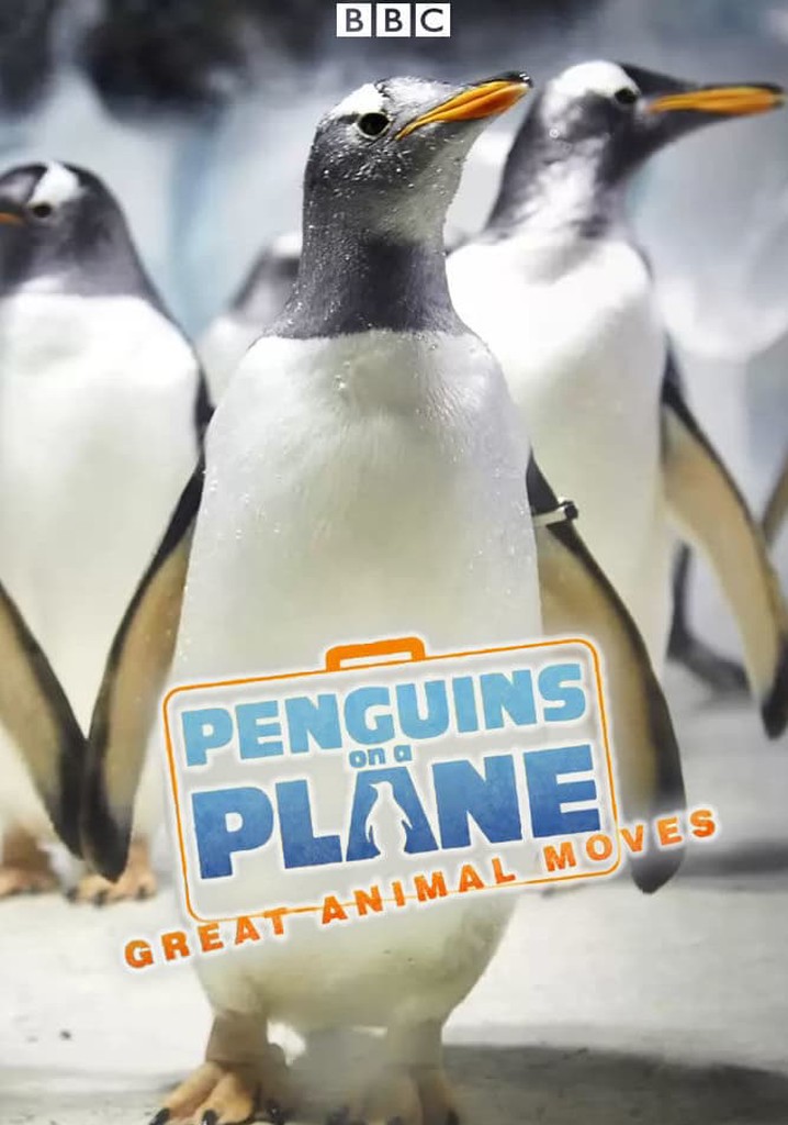Penguins on a Plane: Great Animal Moves poster