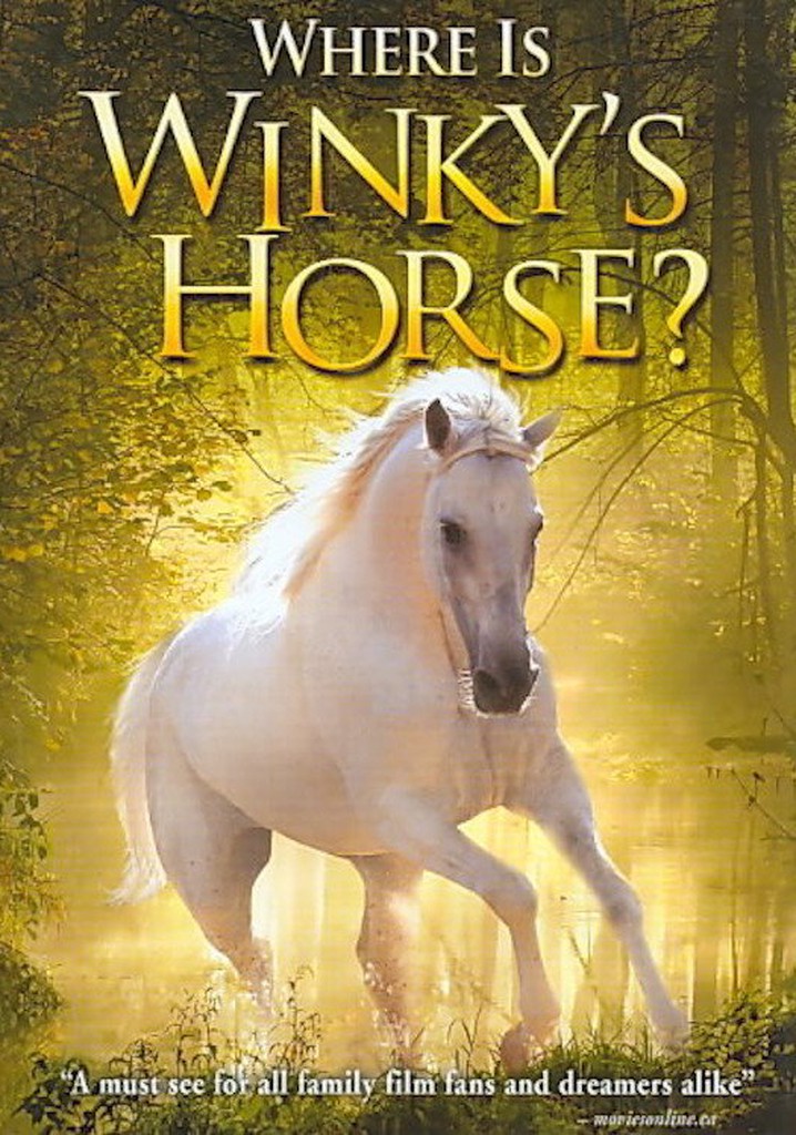 Where Is Winky's Horse? poster