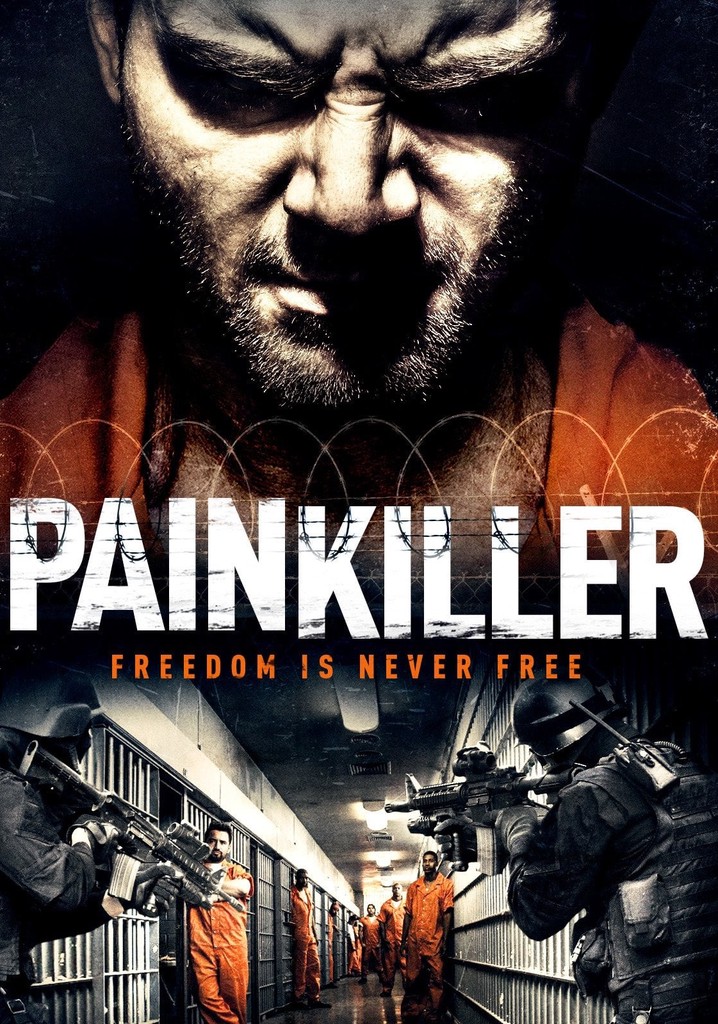 Painkiller poster